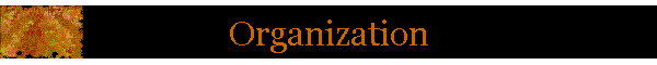 Organization